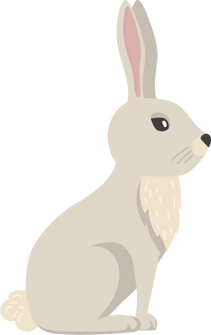 rabbit olm